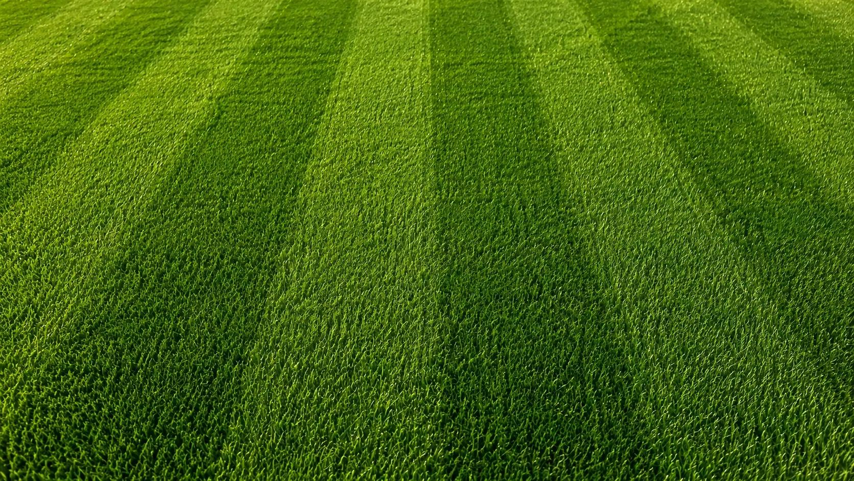 Professional lawn mowing and landscaping in Kamloops BC
